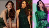 Alaya F Or Kareena Kapoor Or Malaika Arora: Who Wore The Green Sequined Dress Best?