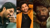 Allu Arjun’s Movies That Are Worth Binge Watching, Take A Look