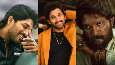 Allu Arjun’s Movies That Are Worth Binge Watching, Take A Look