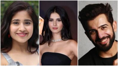 Take A Look At Actors Like Tara Sutaria And Jay Bhanushali Who Began Their Careers On The Small Screen Before Moving On To Bollywood