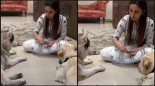 Awesome Pawsome: Bengali diva Mimi Chakraborty gets playful with cute, adorable dogs, fans in awe