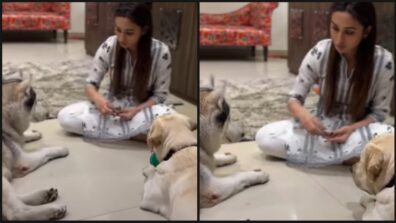 Awesome Pawsome: Bengali diva Mimi Chakraborty gets playful with cute, adorable dogs, fans in awe