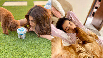 Awesome Pawsome: Kriti Sanon and Rashmika Mandanna can’t stop pampering their dogs, see cute posts