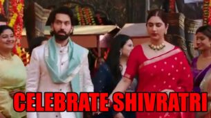 Bade Achhe Lagte Hain 2 spoiler alert: Ram and Priya celebrate Shivratri