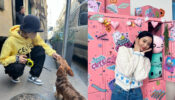 Blinks Special: Blackpink Lisa can’t stop loving pet dog, Jisoo blushes like cutie