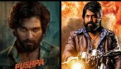 Check Out These Top-Grossing South Indian Films That Outperformed Bollywood At The Box Office: Pushpa, and KGF