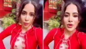 Clothes Or Jokes? Urfii Javed Yet Again Storms The Internet With Her Outfit