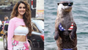 Disha Patani reveals her most favourite bikini pic ever and it is NOT what you expected, check out