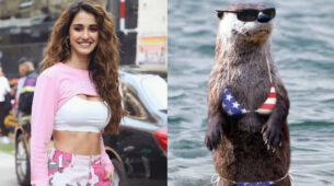 Disha Patani reveals her most favourite bikini pic ever and it is NOT what you expected, check out
