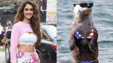 Disha Patani reveals her most favourite bikini pic ever and it is NOT what you expected, check out