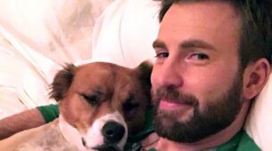 Everything You Need To Know About Chris Evans’ Dog