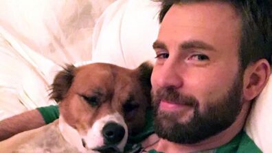 Everything You Need To Know About Chris Evans’ Dog