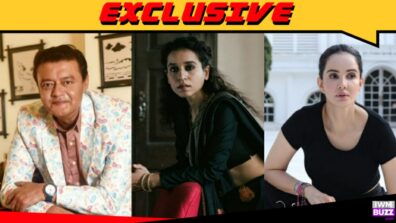 Exclusive: Rukhsar Rehman, Saswata Chatterjee, Tillotama Shome in Hotstar series Captain