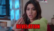 Fanaa – Ishq Mein Marjawan spoiler alert: Pakhi learns about the hidden cameras