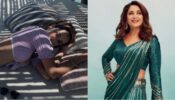 Fashion Queens: Disha Patani is a sunkissed mermaid on Maldives beach, Madhuri Dixit stuns with her sparkly lehenga