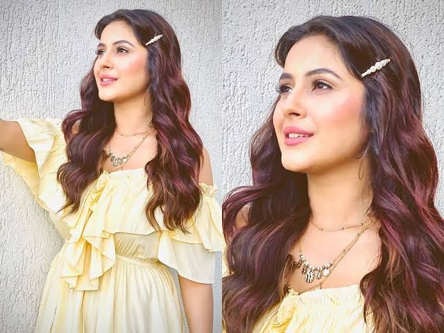 Glam Up: Which Of These Shehnaaz Gill’s Hairstyles Would You Try Out? - 2