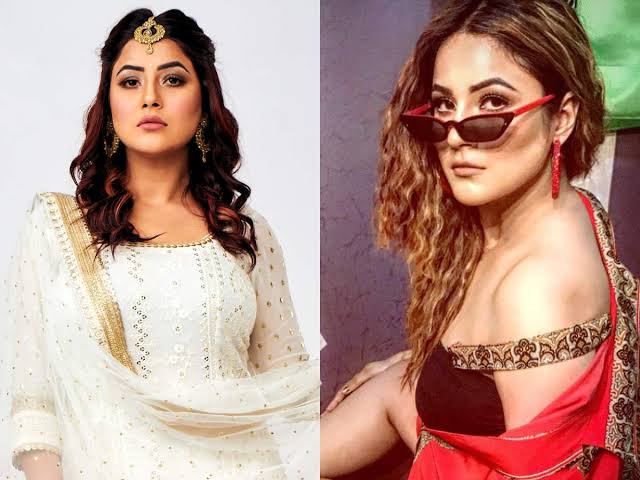 Glam Up: Which Of These Shehnaaz Gill’s Hairstyles Would You Try Out? - 3