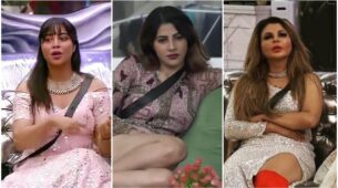 Here Are Top Picks From Arshi Khan’s To Rakhi Sawant’s Bizarre Fashion Collection