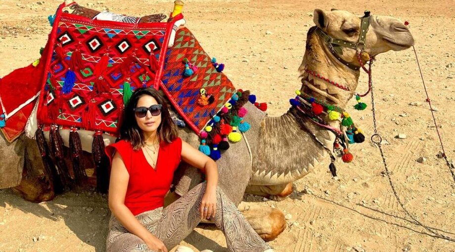 Hina Khan Shares Strange Photos From Her Egypt Vacation And Offers Significant Travel Inspiration, Check It Out - 6