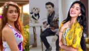 How Cute: Siddharth Nigam pampers pet dog ‘Wasooli bhai’ on birthday, Ashi Singh and Ashnoor Kaur are in awe