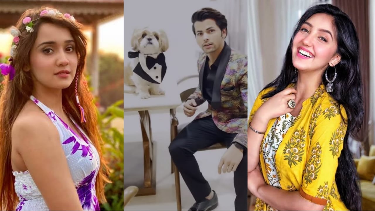 How Cute: Siddharth Nigam pampers pet dog 'Wasooli bhai' on birthday ...