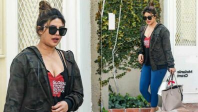 Netizens Ask Stupid Questions To Priyanka Chopra: Fans Defend