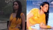 Instagram On Fire: Mallika Sherawat performs to Raveena Tandon’s ‘Tip Tip Barsa Paani’, video sends shockwaves on internet