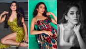 Jacqueline Fernandez, Rakul Preet and Alaya F show the way to dominate with vogue quotient