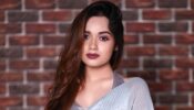Jannat Zubair Rahmani Looks Stunning In A Grey Sequined Saree!