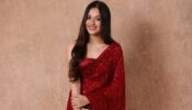 Jannat Zubair’s Ways To Look Hot Bridesmaid In Sarees