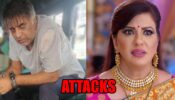 Kundali Bhagya spoiler alert: Mahesh attacks Rakhi at the party