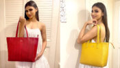 Learn about Mouni Roy’s extravagant bag collection, pictures inside