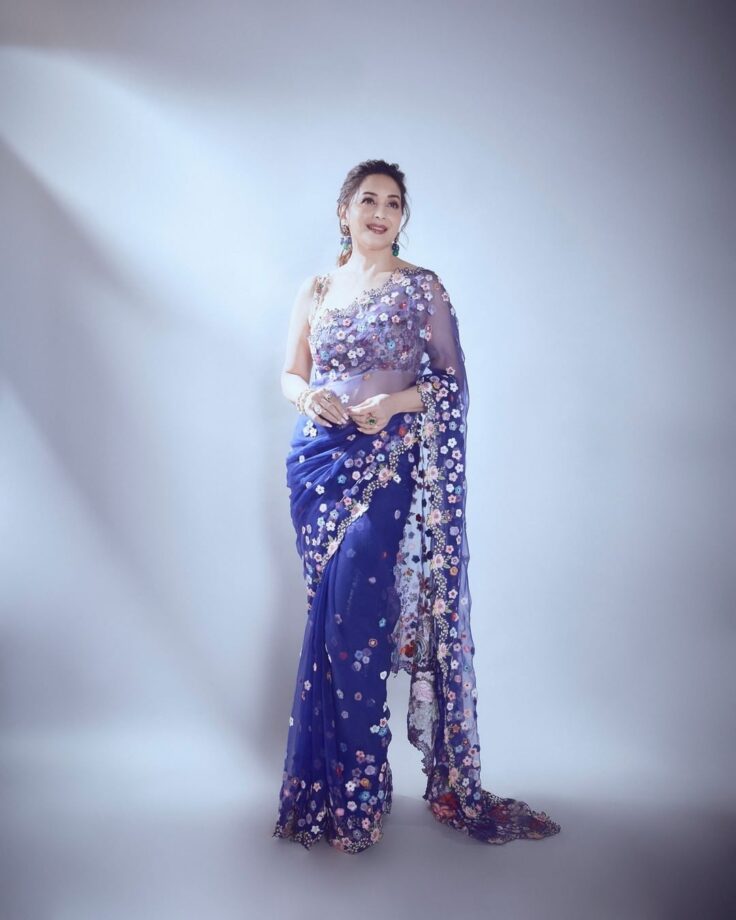 5 Times Madhuri Dixit Swooned Our Hearts With Her Gorgeous Saree Collection - 7