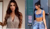 Malaika Arora is obsessed with Dua Lipa’s all denim outfit