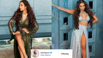 Malaika Arora leaves Arjun Kapoor lovestruck with her shimmer and shine