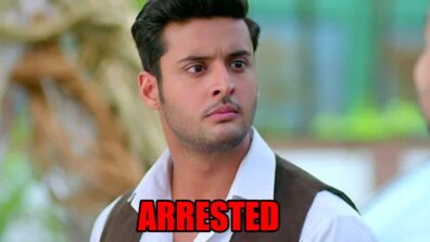 Meet spoiler alert: Meet Ahlawat gets arrested