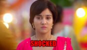 Meet spoiler alert: Meet Hooda gets SHOCKED to find out about her father’s murder