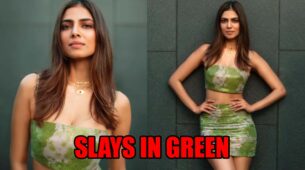Netizens Shower Love As Malavika Mohanan Slays In Green Crop Top & Skirt