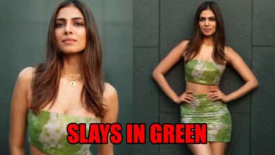 Netizens Shower Love As Malavika Mohanan Slays In Green Crop Top & Skirt