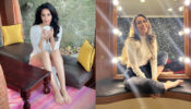 Old Is Gold: Mallika Sherawat and Karisma Kapoor roll back the clock, fans sweat seeing their sensuality