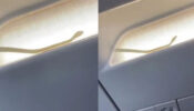 OMG: Snake Spotted Inside Aeroplane Mid-Flight, Pilot Releases Video, Watch Out