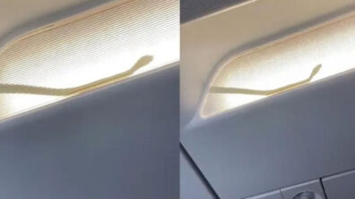 OMG: Snake Spotted Inside Aeroplane Mid-Flight, Pilot Releases Video, Watch Out