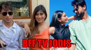 Pratik Sehajpal – Akasa Singh To Vishal Aditya Singh – Sana Makbul: BFF TV Jodis We All Want To See Getting Married