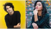 RadhaKrishn fame Sumedh Mudgalkar and Mallika Singh’s most fashionable moments in black