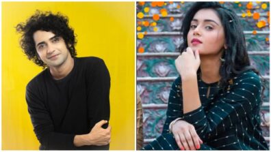 RadhaKrishn fame Sumedh Mudgalkar and Mallika Singh’s most fashionable moments in black