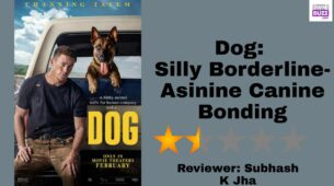 Review Of Dog: Silly Borderline Asinine Canine Bonding