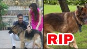 RIP: Akshay Kumar and Twinkle Khanna’s dog Cleo passes away