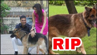 RIP: Akshay Kumar and Twinkle Khanna’s dog Cleo passes away