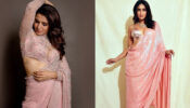 Samantha Ruth Prabhu Or Kareena Kapoor: Who Looks Better In A Light Pink Embellished Saree?