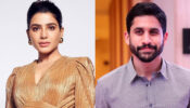 Samantha Ruth Prabhu To Naga Chaitanya: South Stars Who Are All Set For Bollywood Debut